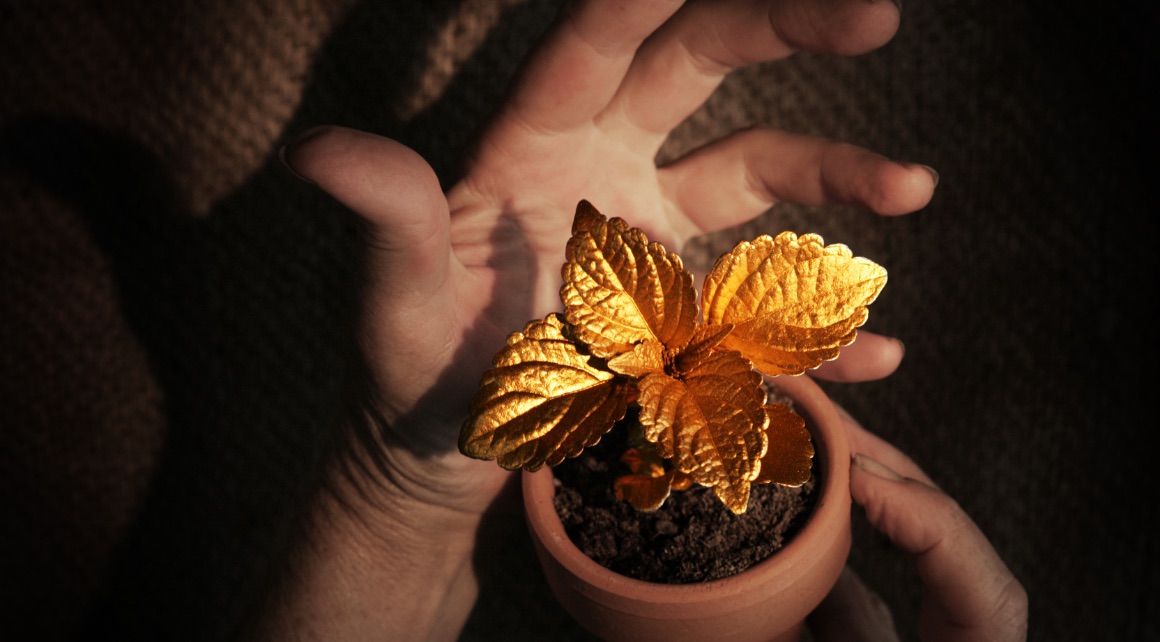 Now Wealth - About Us Page Banner Image - 1