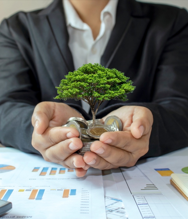 Now Wealth - About Us Page - Our Philosophy Image - 1